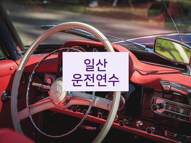 일산운전연수 후기