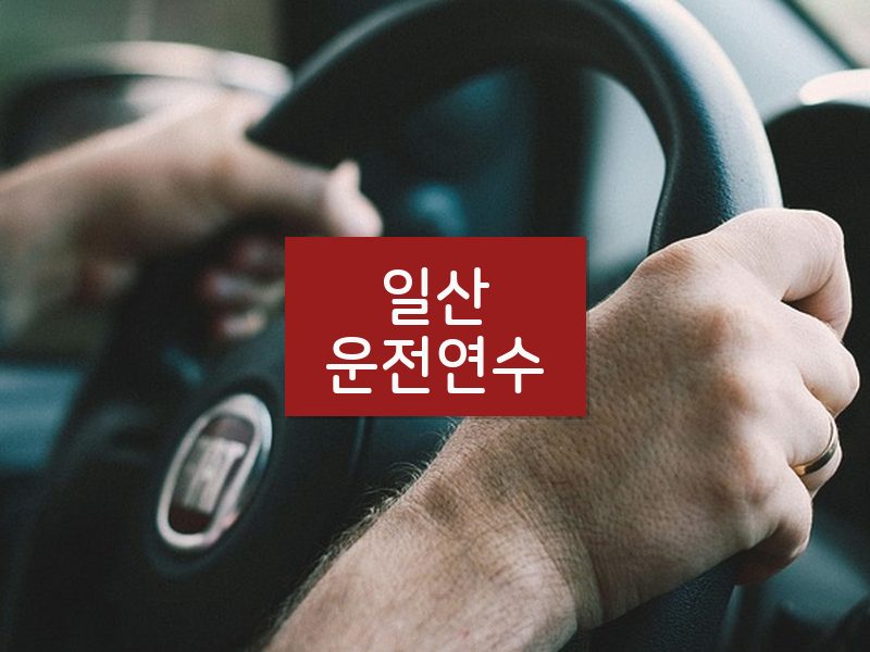 일산운전연수 후기