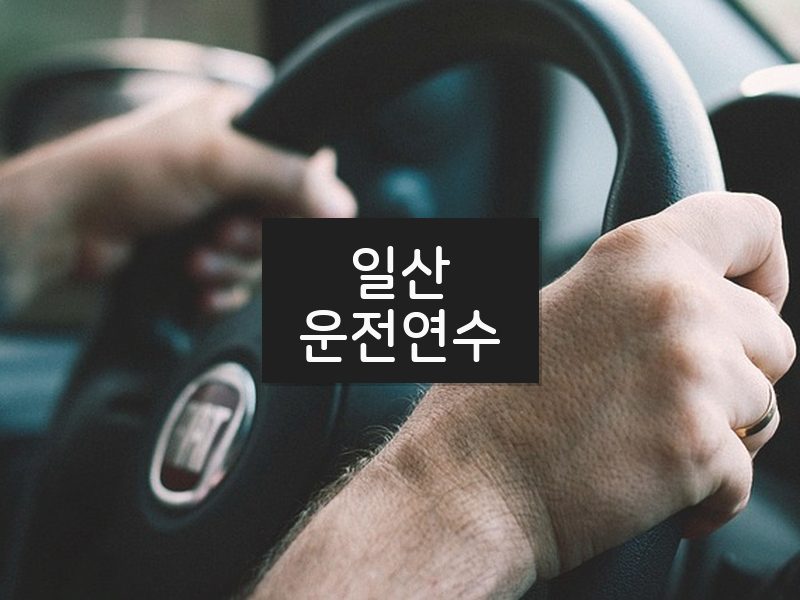 일산운전연수 후기