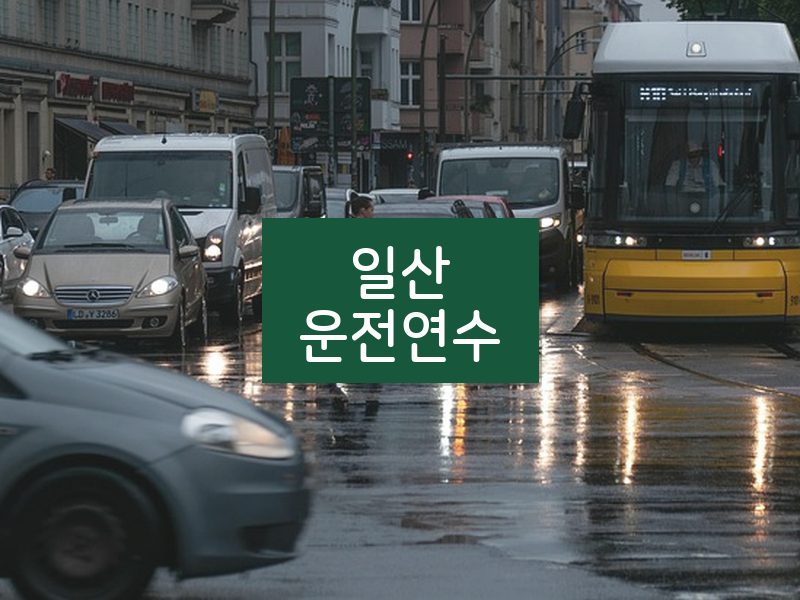 일산운전연수 후기