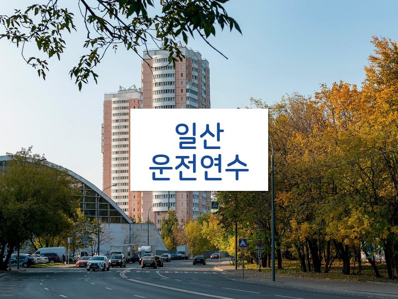 일산운전연수 후기