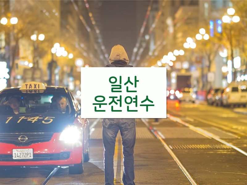 일산운전연수 후기