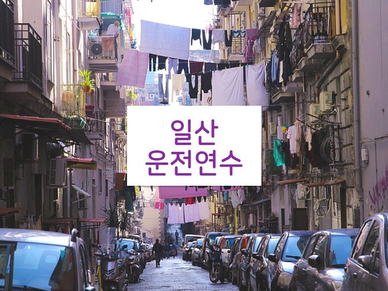 일산운전연수 후기