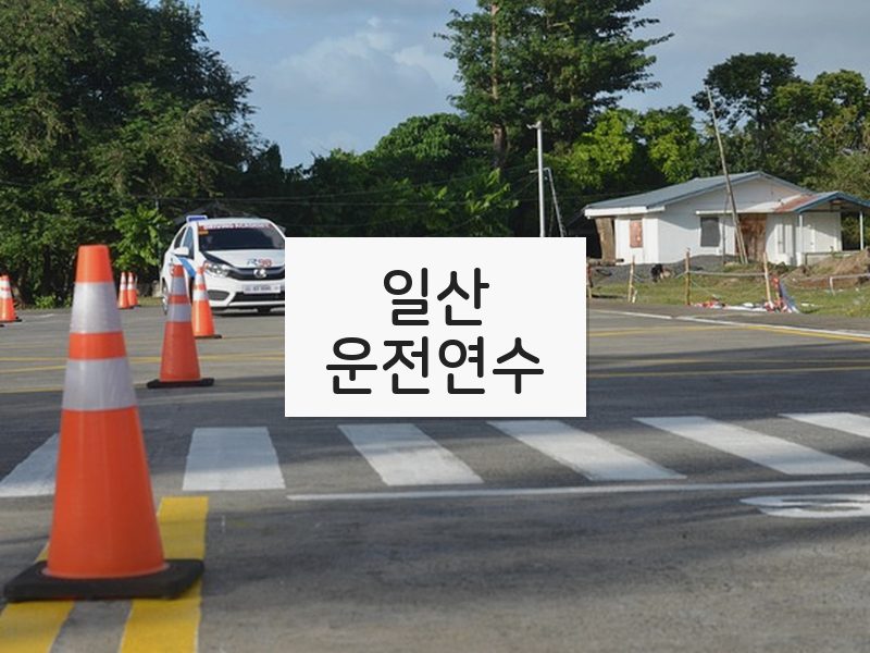일산운전연수 후기