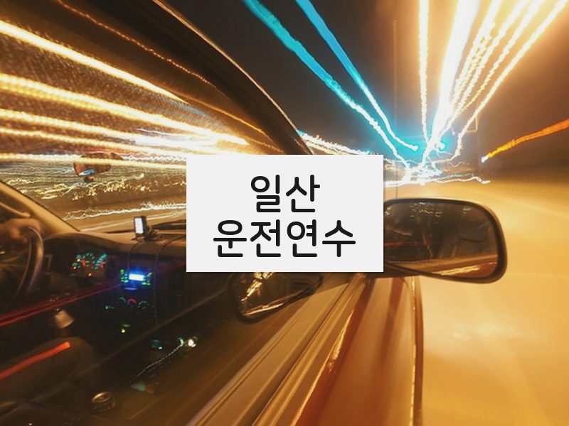 일산운전연수 후기