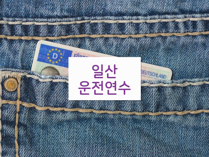 일산운전연수 후기