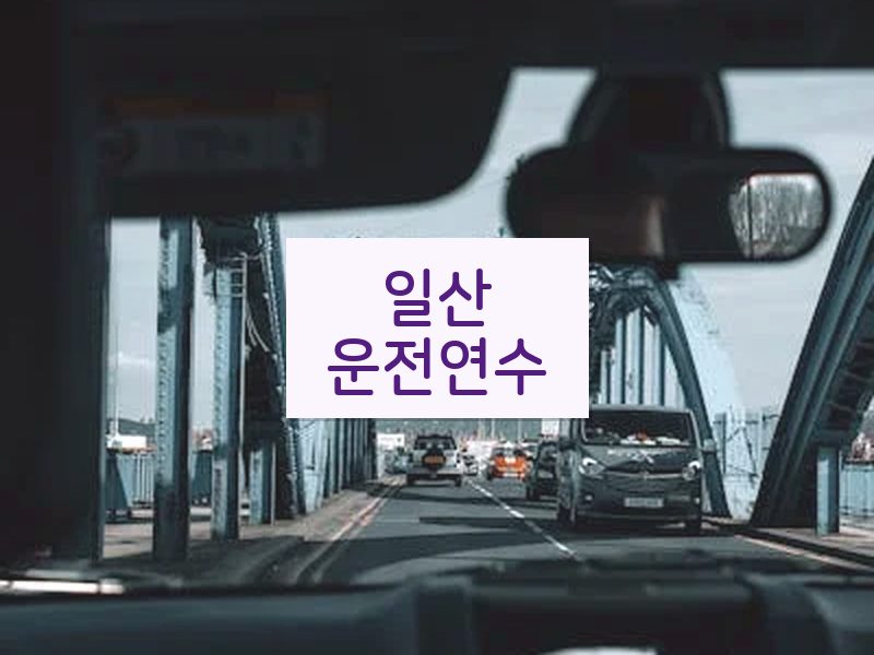 일산운전연수 후기