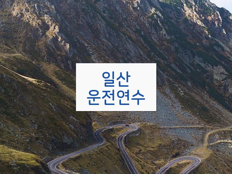 일산운전연수 후기