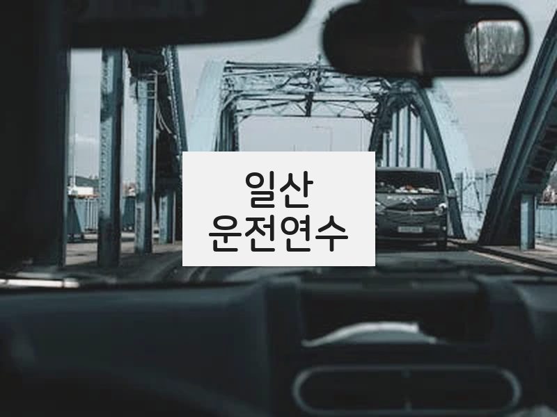 일산운전연수 후기