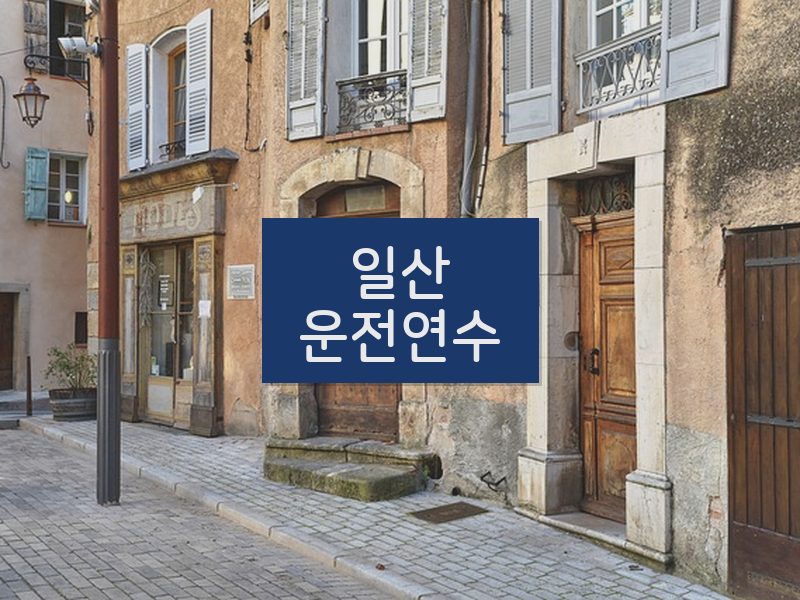 일산운전연수 후기