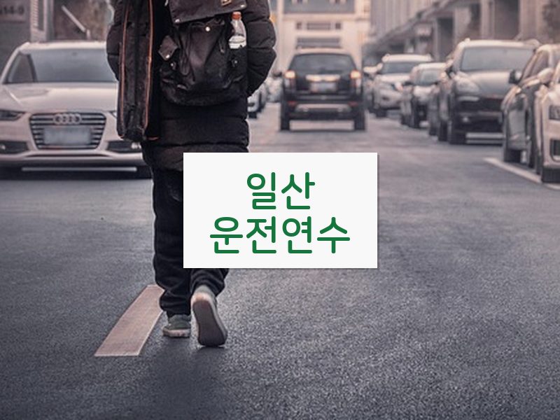 일산운전연수 후기