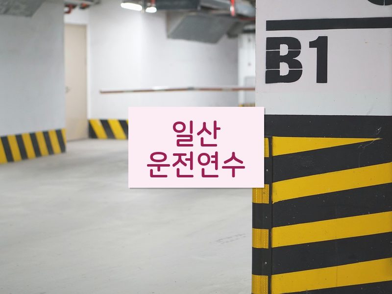 일산운전연수 후기