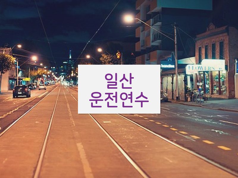 일산운전연수 후기