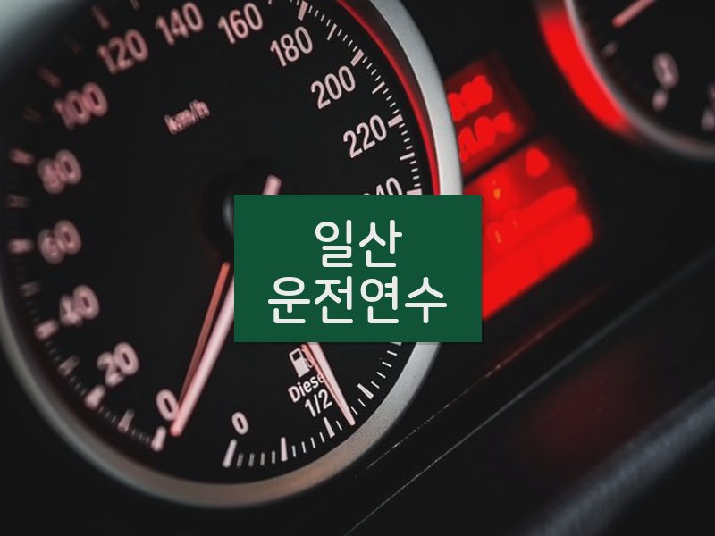 일산운전연수 후기