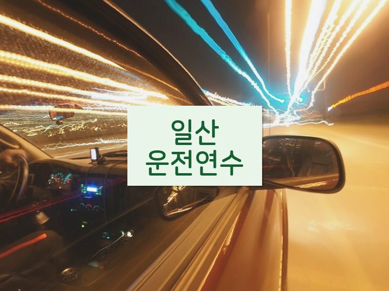 일산운전연수 후기