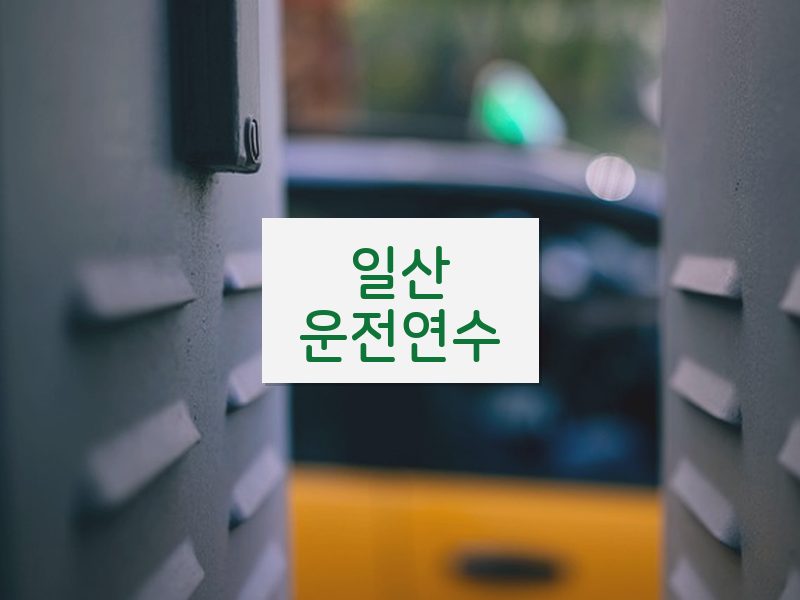 일산운전연수 후기