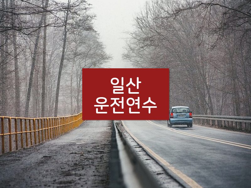 일산운전연수 후기