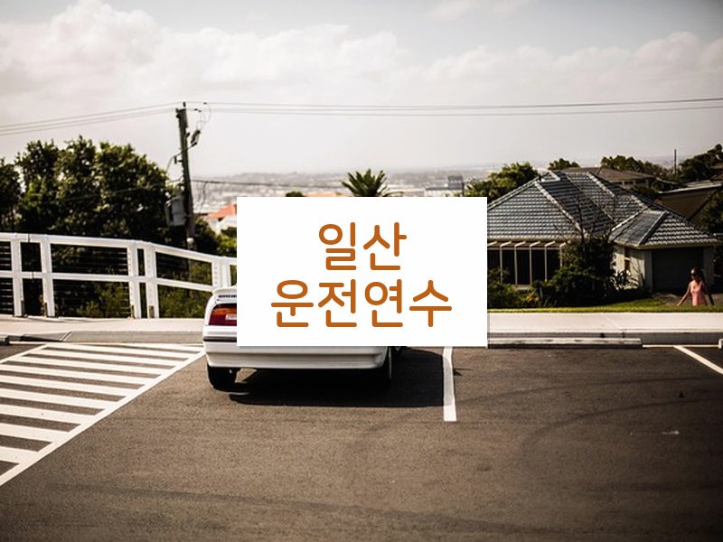 일산운전연수 후기