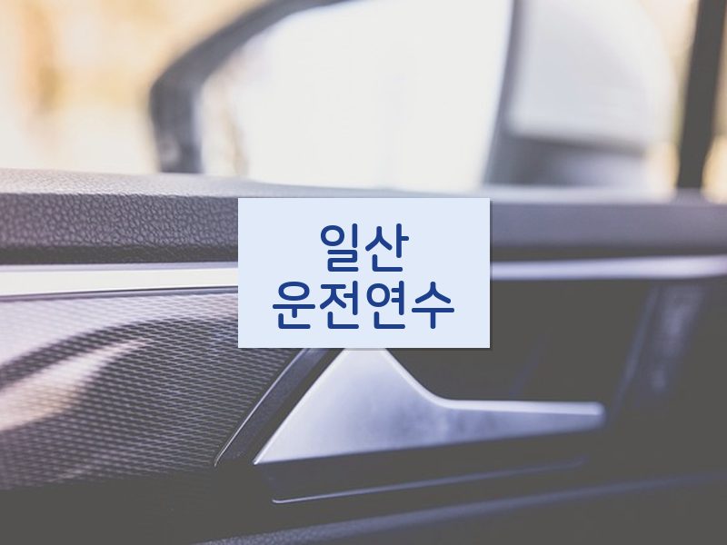 일산운전연수 후기