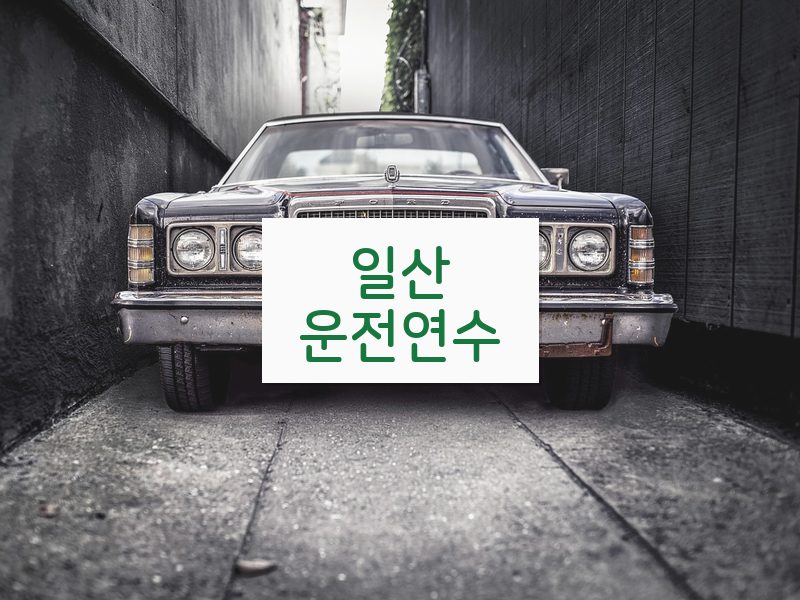 일산운전연수 후기