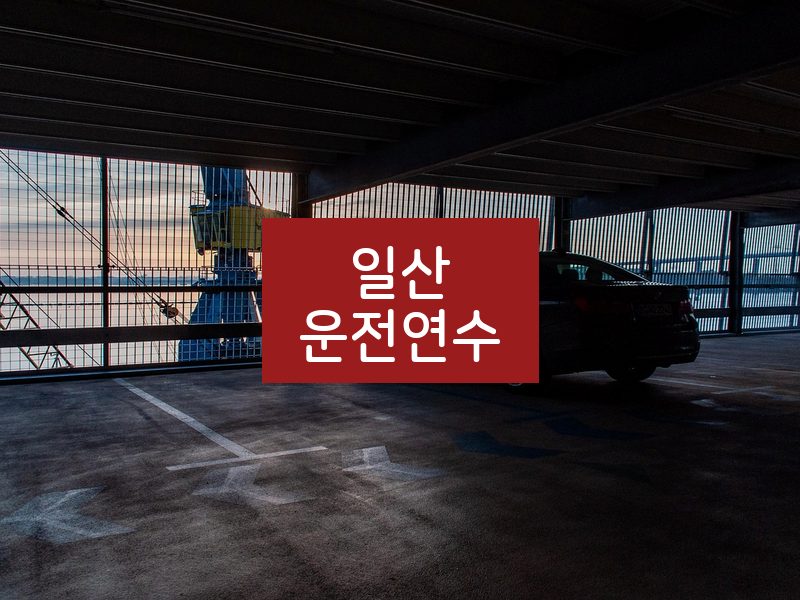 일산운전연수 후기