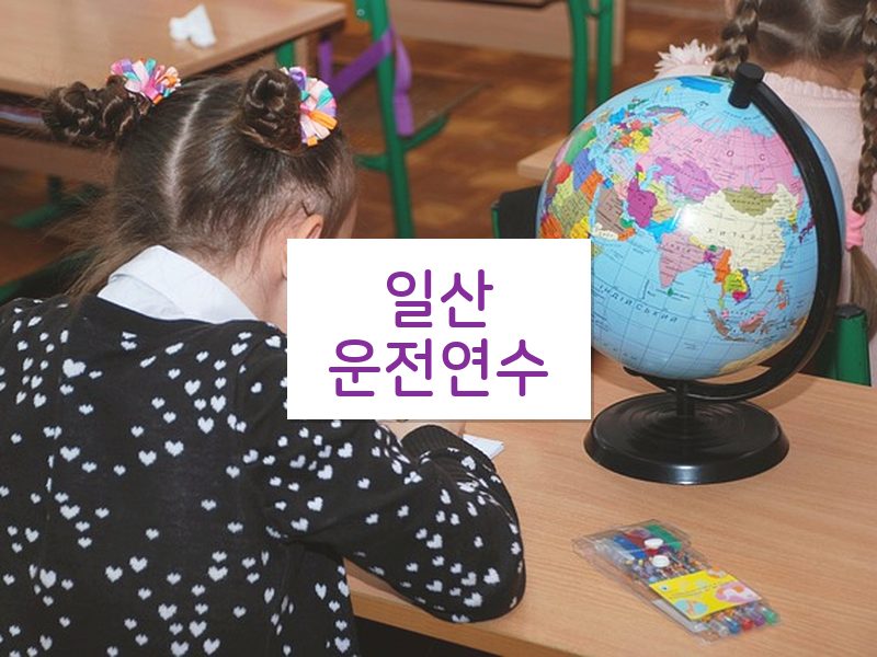 일산운전연수 후기