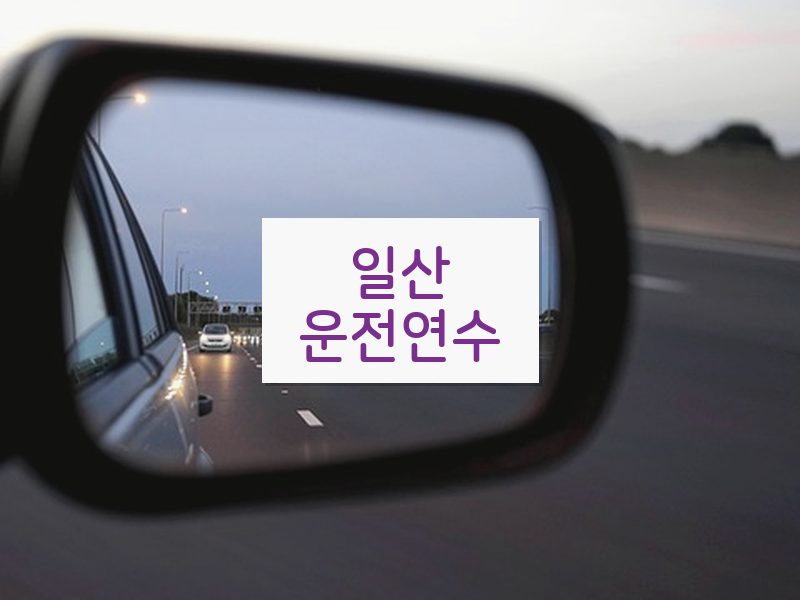 일산운전연수 후기