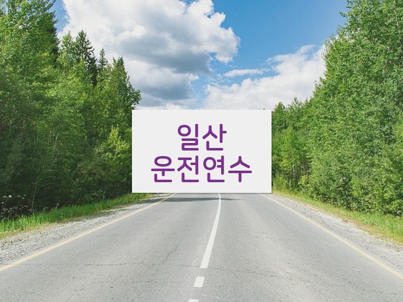 일산운전연수 후기