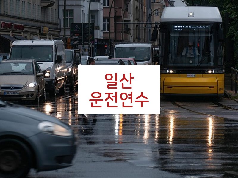 일산운전연수 후기