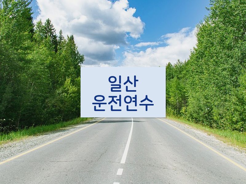 일산운전연수 후기