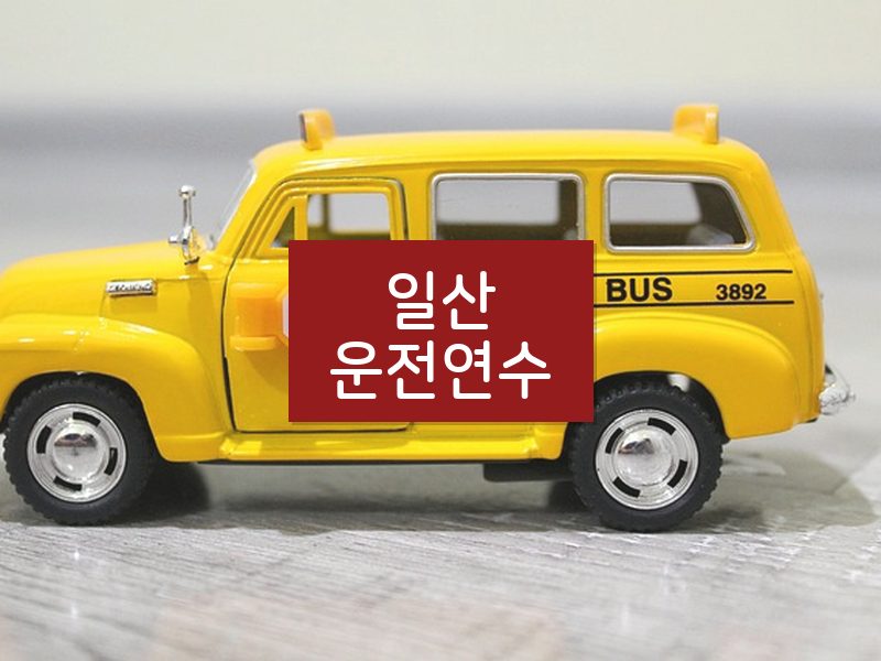 일산운전연수 후기