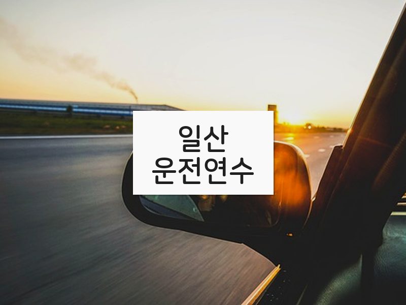 일산운전연수 후기