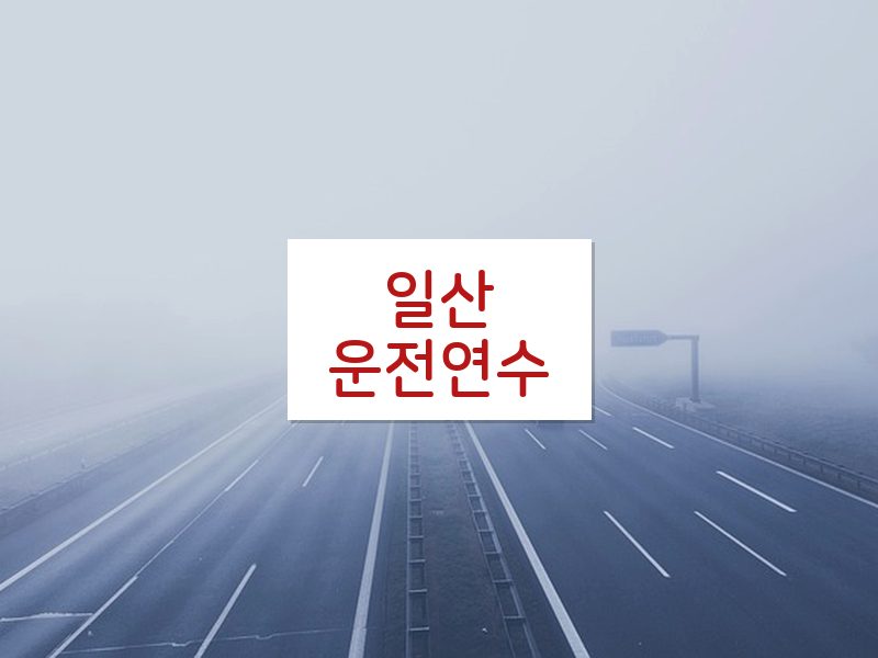 일산운전연수 후기