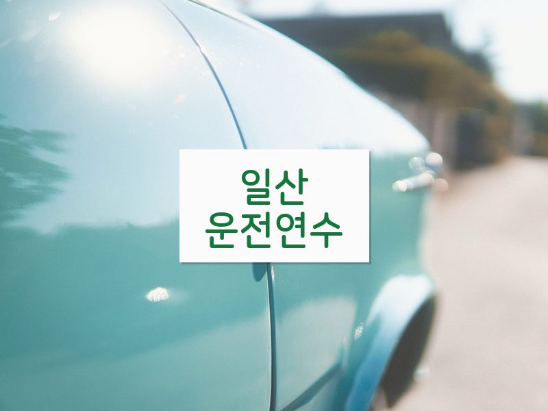 일산운전연수 후기
