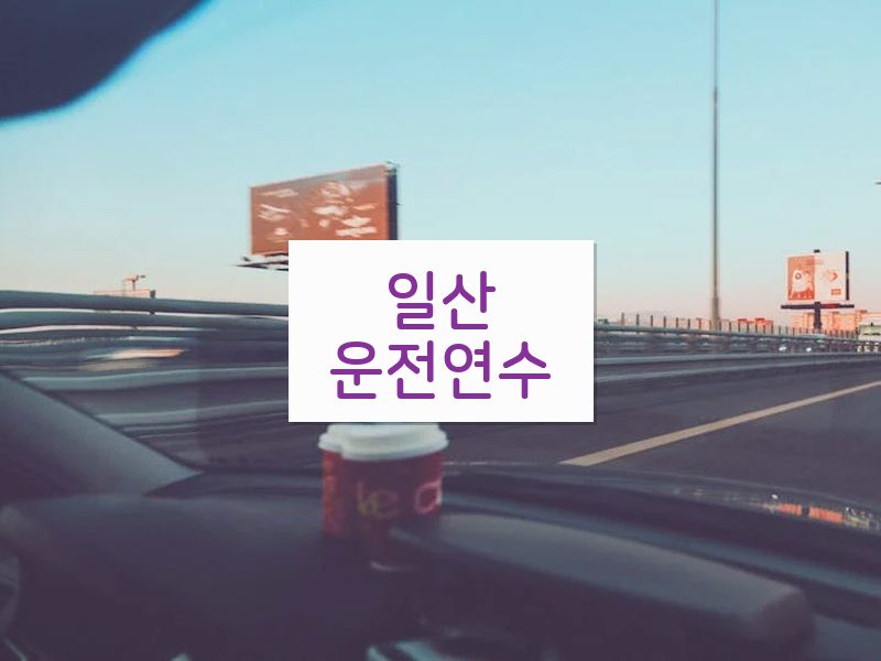 일산운전연수 후기