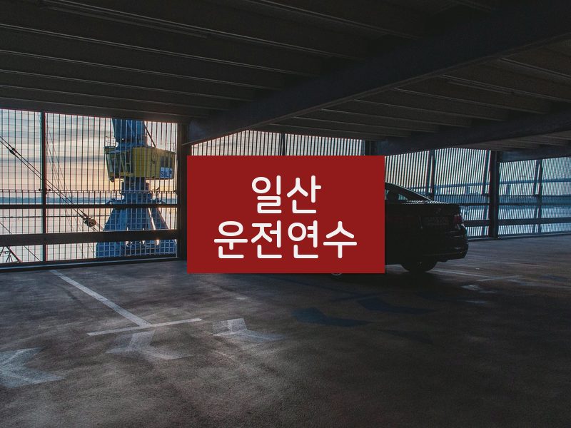 일산운전연수 후기