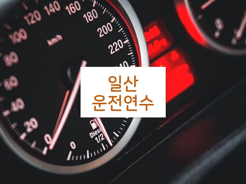 일산운전연수 후기