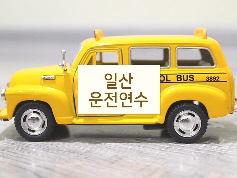 일산운전연수 후기