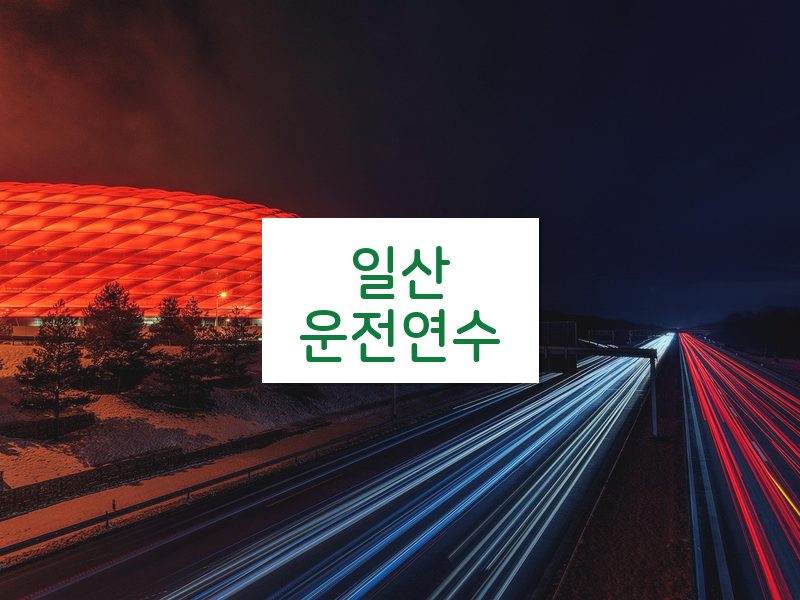 일산운전연수 후기
