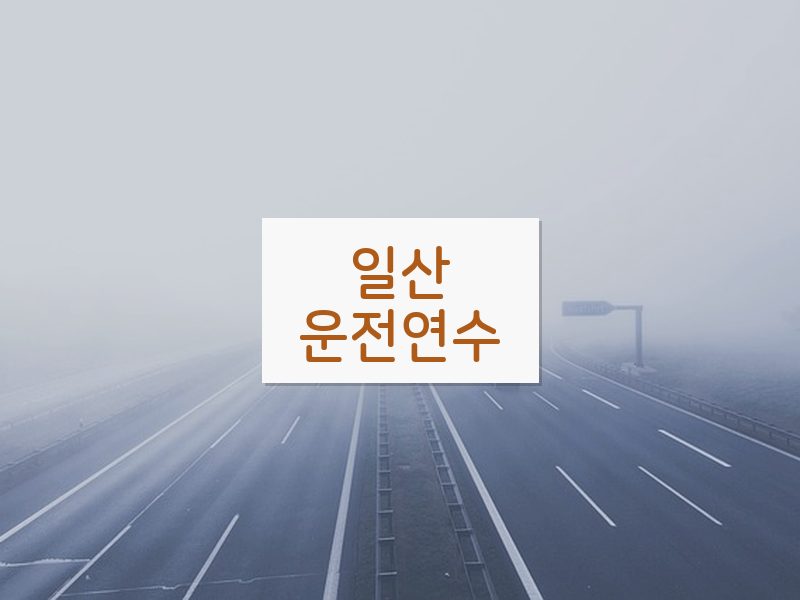 일산운전연수 후기