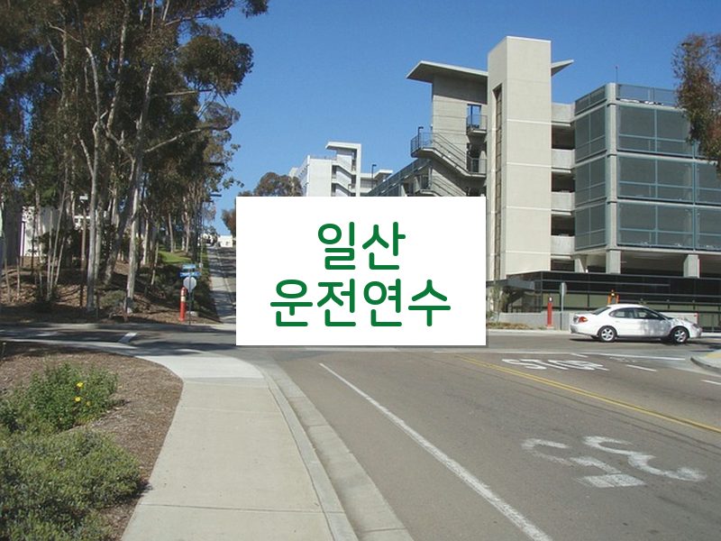 일산운전연수 후기