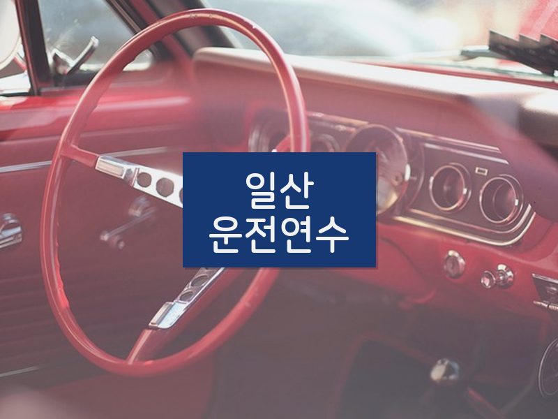 일산운전연수 후기