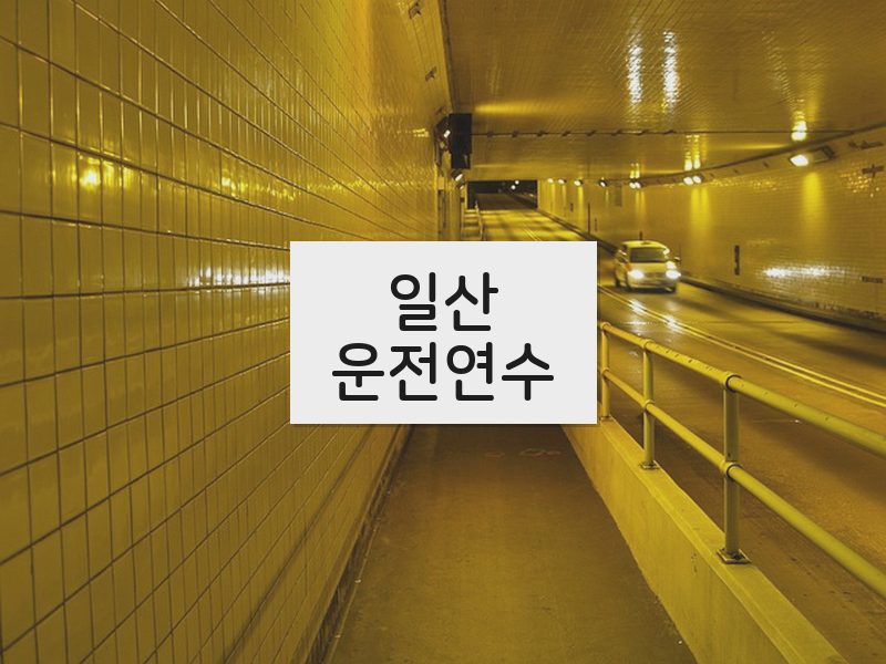일산운전연수 후기