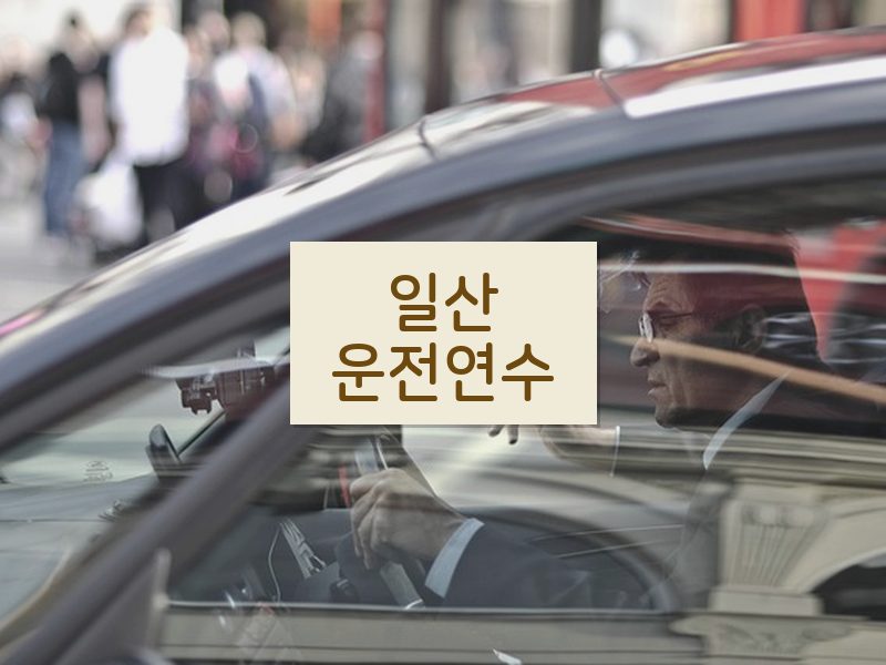 일산운전연수 후기