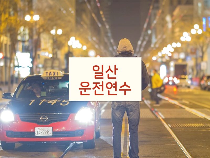 일산운전연수 후기