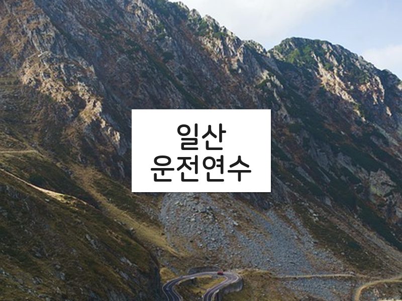 일산운전연수 후기