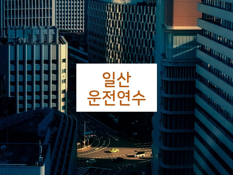 일산운전연수 후기