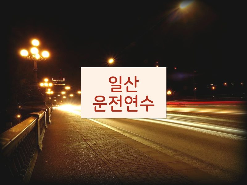 일산운전연수 후기