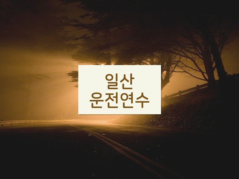 일산운전연수 후기