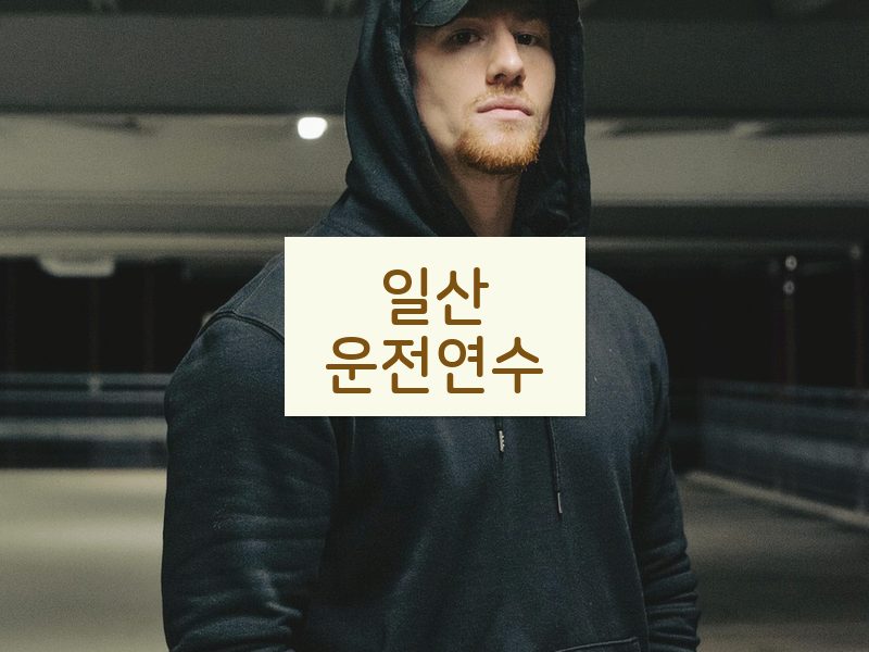 일산운전연수 후기